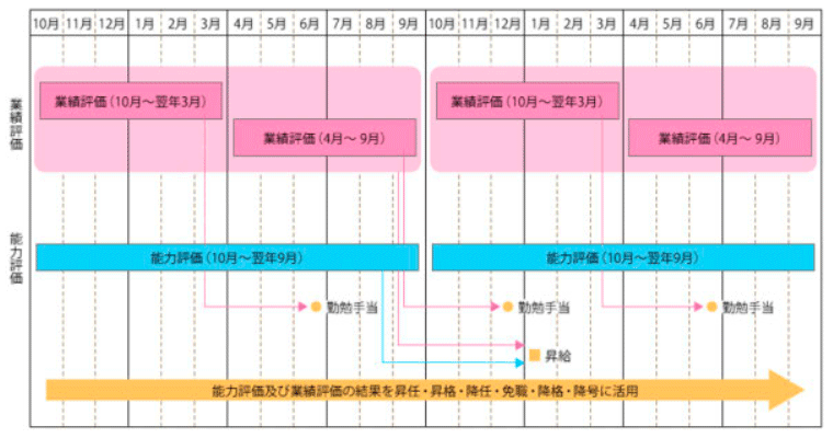 人事評価の実施と評価結果の活用サイクル