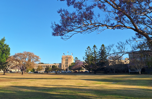 クイーンズランド大学