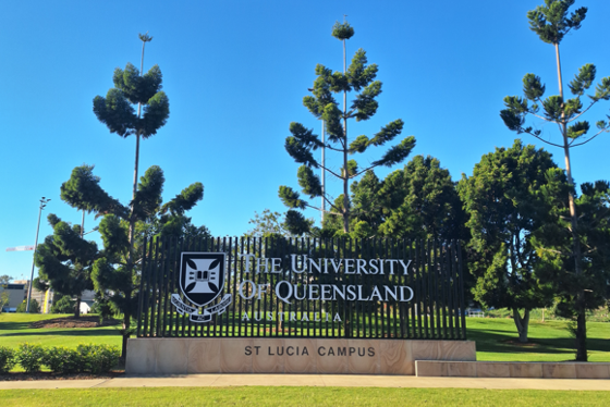 クイーンズランド大学