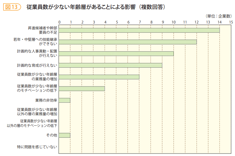図13 従業員数が少ない年齢層があることによる影響(複数回答)